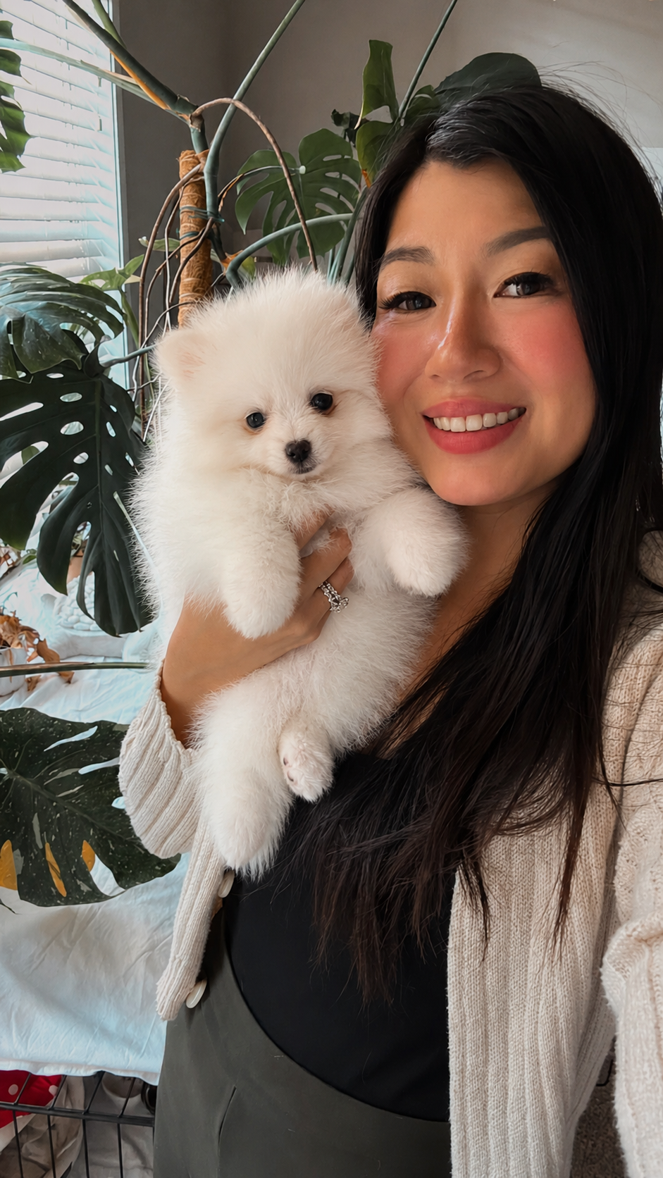 Woman holding her fluffy white Pomeranian puppy with houseplants in the background from Cream-Puffs