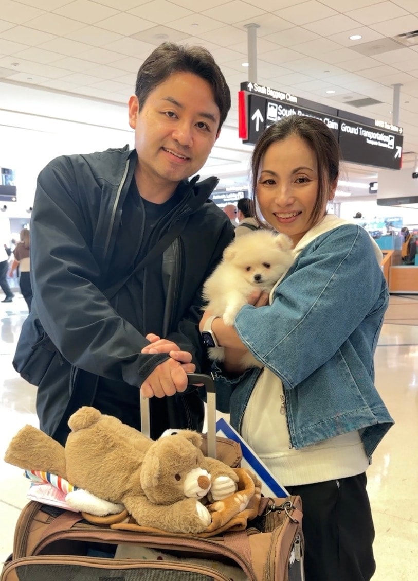 Couple at the airport picking up their new white Pomeranian puppy from Cream-Puffs